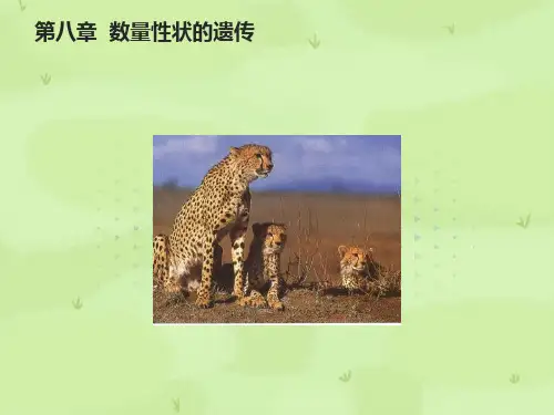 数量性状的遗传