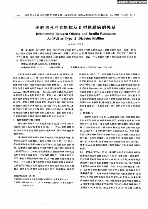 肥胖与胰岛素抵抗及Ⅱ型糖尿病的关系