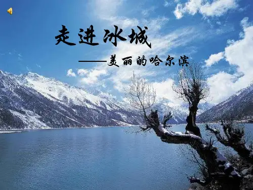 哈尔滨介绍ppt课件