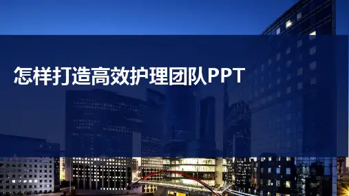怎样打造高效护理团队PPT
