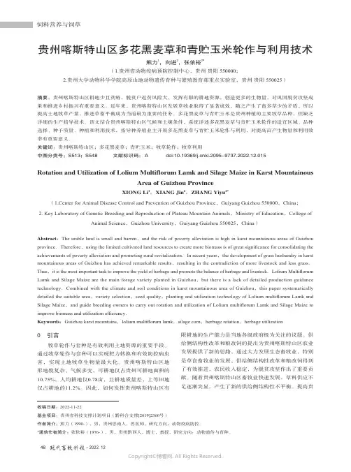 贵州喀斯特山区多花黑麦草和青贮玉