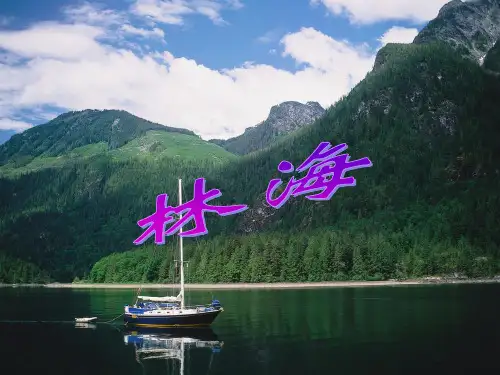(北京版)六年级语文上册课件-林海-3-PPT课件.ppt