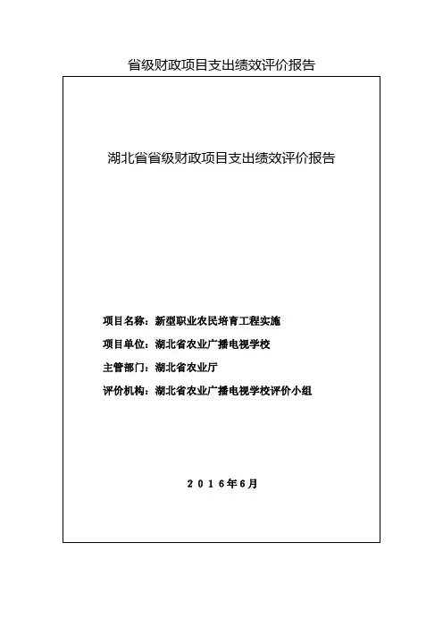 省级财政项目支出绩效评价报告