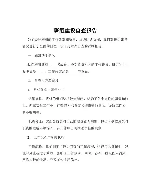 班组建设自查报告