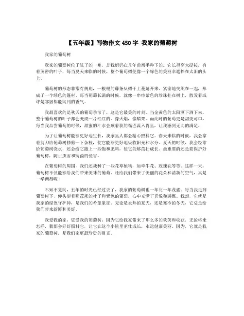 【五年级】写物作文450字 我家的葡萄树