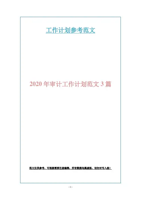 2020年审计工作计划范文3篇