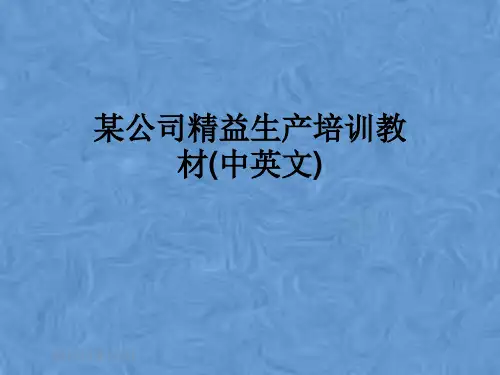 某公司精益生产培训教材(中英文)