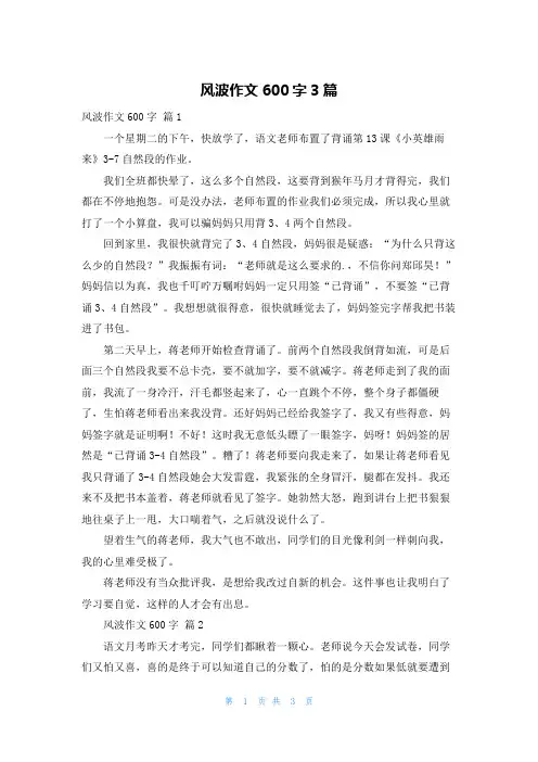风波作文600字3篇