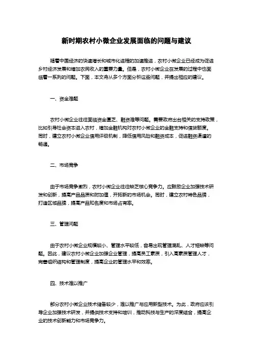 新时期农村小微企业发展面临的问题与建议