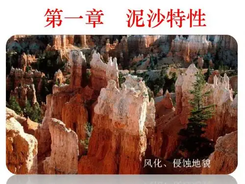河流海岸工程地貌第1章 泥沙特性
