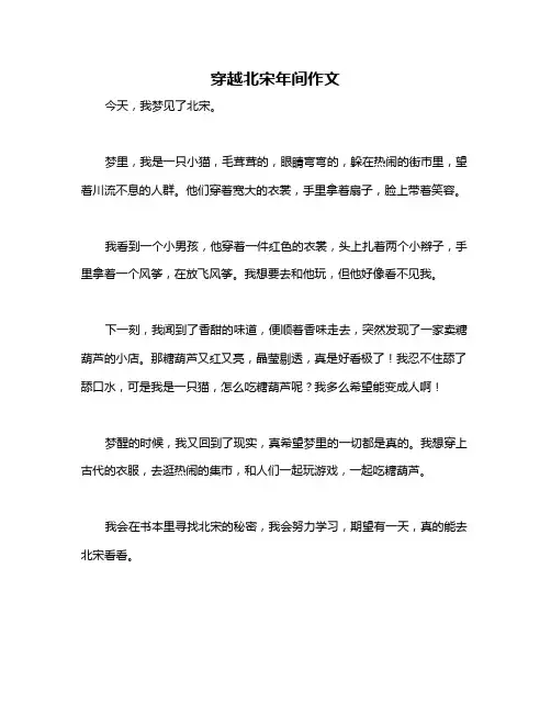 穿越北宋年间作文