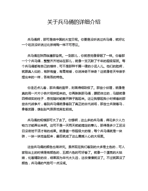 关于兵马俑的详细介绍