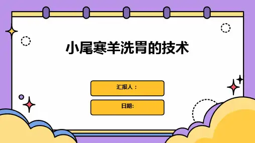 小尾寒羊洗胃的技术