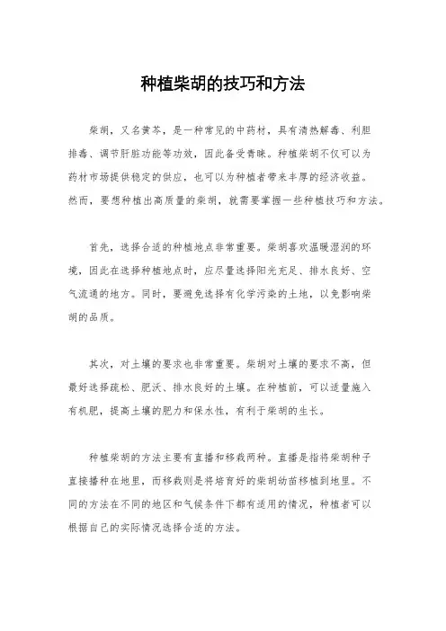 种植柴胡的技巧和方法