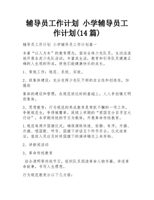 辅导员工作计划 小学辅导员工作计划(14篇)