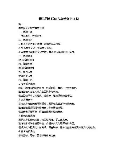 春节回乡活动方案策划书3篇