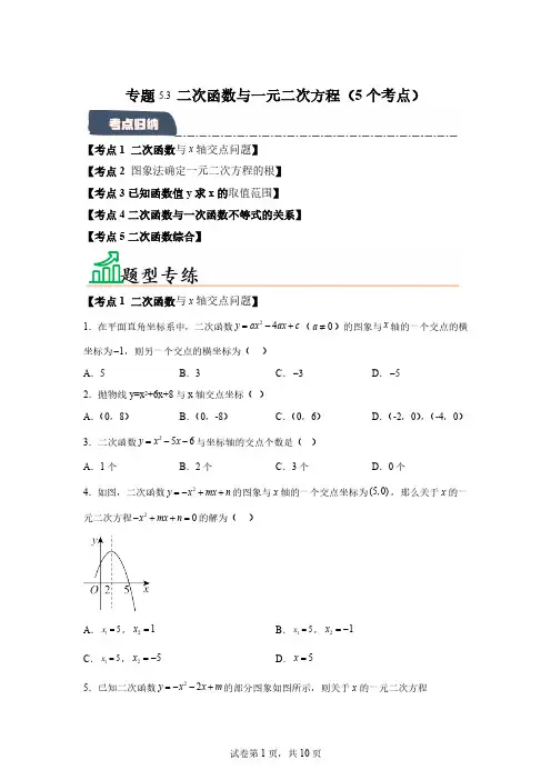 专题二次函数与一元二次方程(5个考点)(题型专练+易错精练)