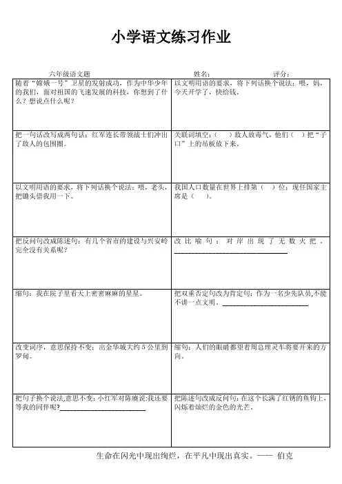 小学六年级语文拓展训练 (16)
