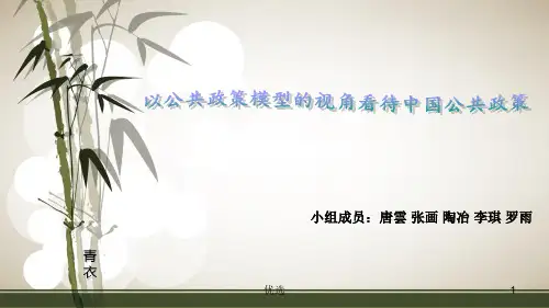 (可直接使用)中国公共政策适合的政策模型.ppt