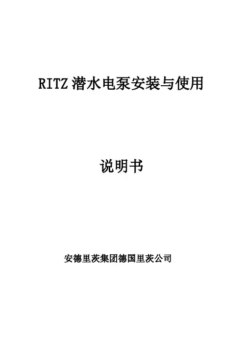 RITZ潜水电泵安装与使用总结