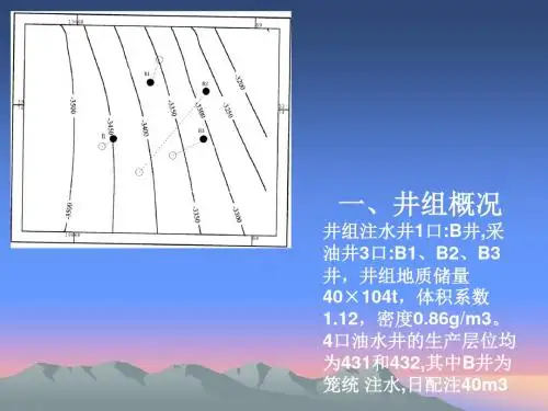 井组动态分析演示文稿