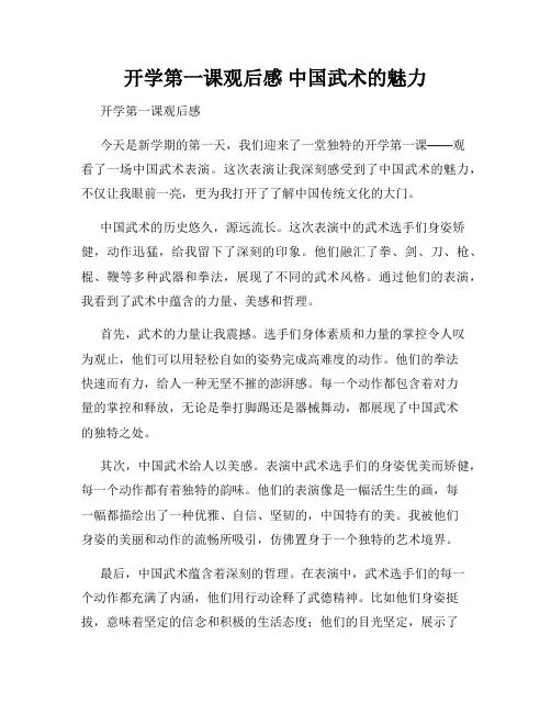 开学第一课观后感 中国武术的魅力