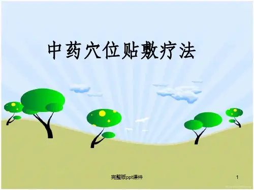 中医外治疗法ppt课件