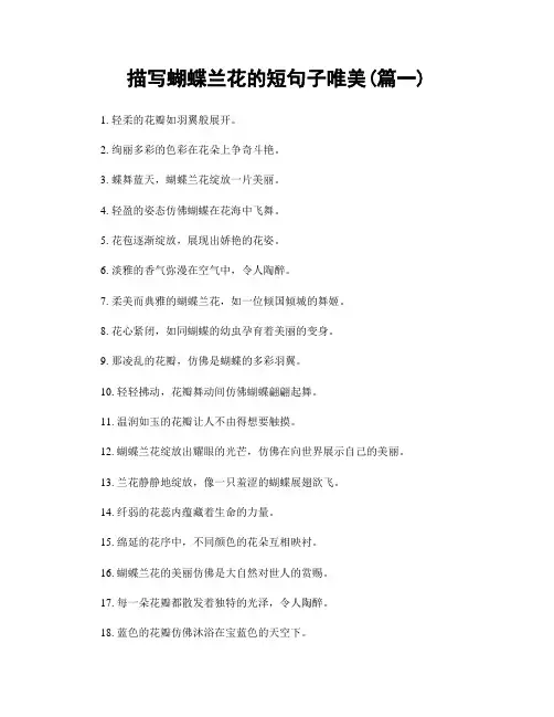 描写蝴蝶兰花的短句子唯美(精选2篇)