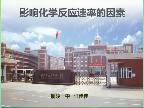 影响化学反应速率的因素(1)