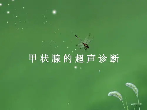 甲状腺的超声诊断ppt课件