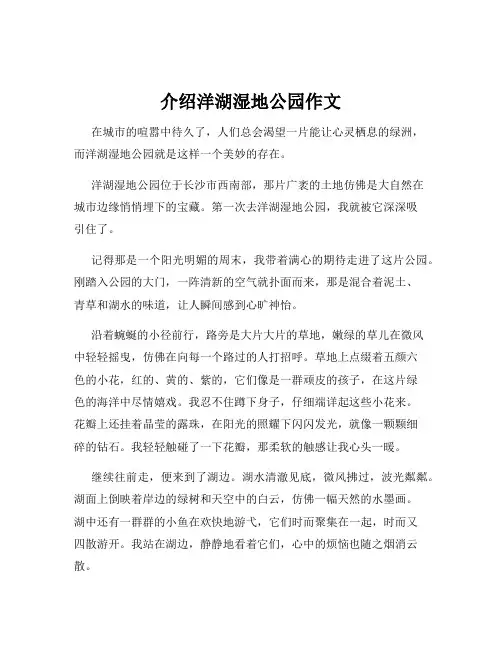 介绍洋湖湿地公园作文