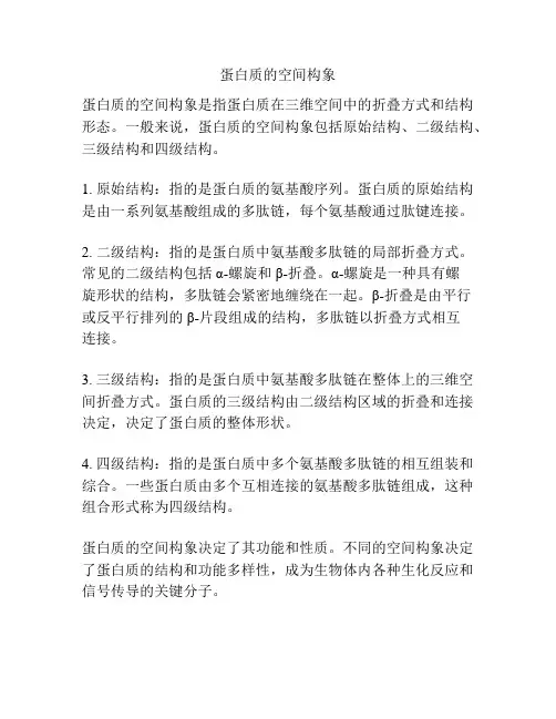 蛋白质的空间构象