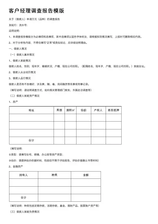 客户经理调查报告模版