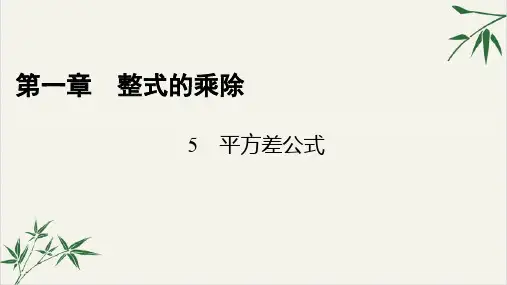 北师大版《平方差公式》ppt精美课件2