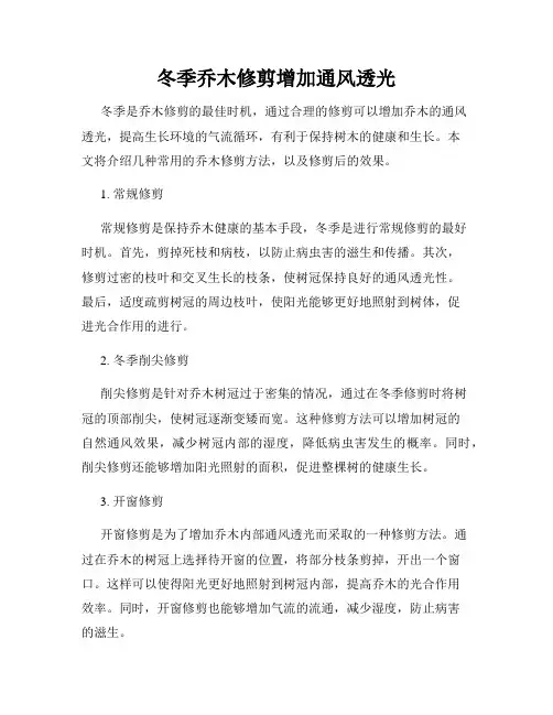 冬季乔木修剪增加通风透光