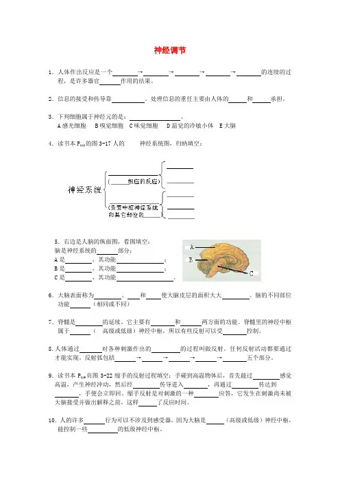 最新-八年级科学上册 《神经调节》同步练习1 浙教版 