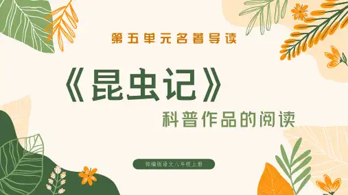 名著导读《昆虫记》教学课件(共31张PPT)
