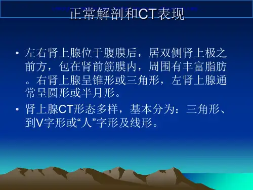 肾上腺常见肿瘤课件