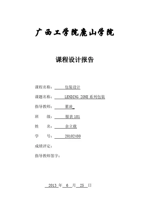 包装设计课程设计报告