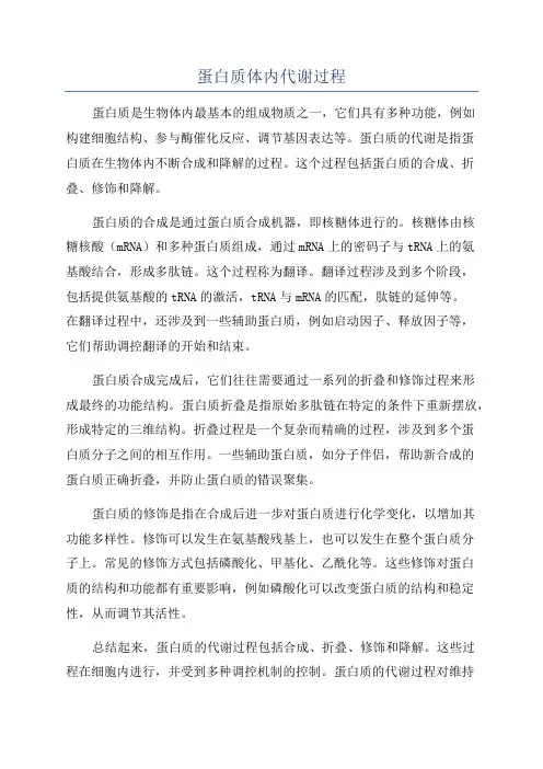 蛋白质体内代谢过程
