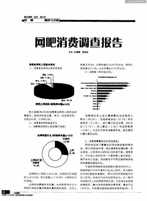 网吧消费调查报告