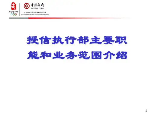 银行授信执行主要职能和业务范围PPT教学课件