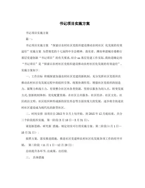 书记项目实施方案【范本模板】