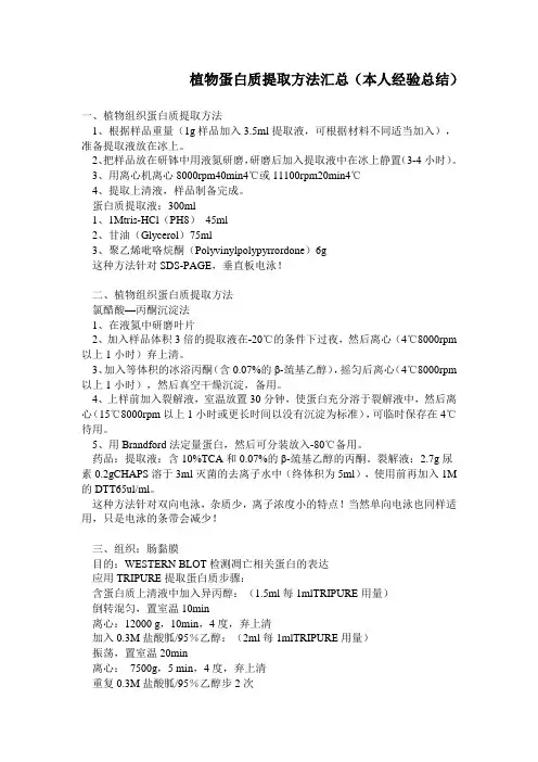 蛋白质提取方法(个人总结篇)
