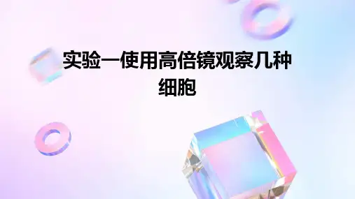 实验一：使用高倍镜观察几种细胞
