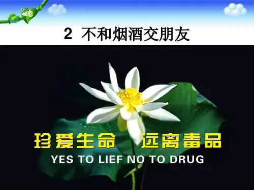 六年级上册品德与社会课件《不和烟酒交朋友》｜苏教版 (共10张PPT)