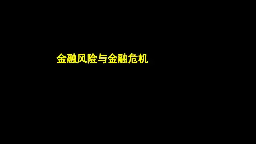 第12章  金融风险与金融危机  《货币银行学》PPT课件