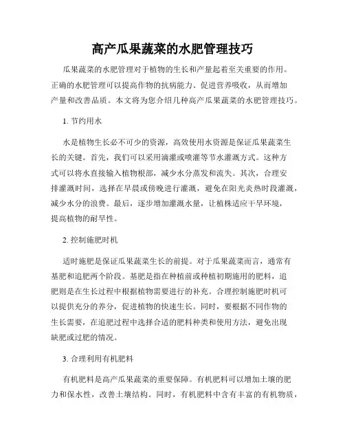 高产瓜果蔬菜的水肥管理技巧