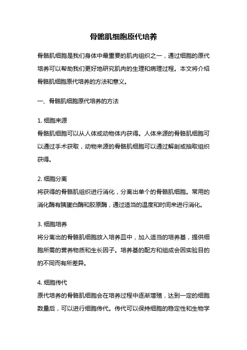骨骼肌细胞原代培养