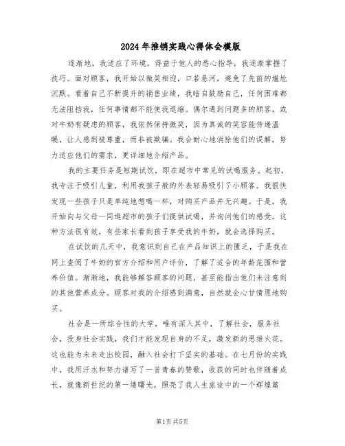 2024年推销实践心得体会模版(二篇)